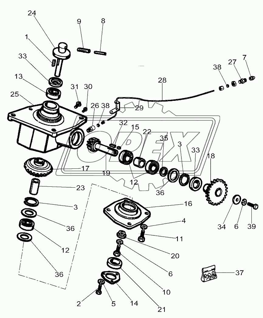 Lower Case Elements