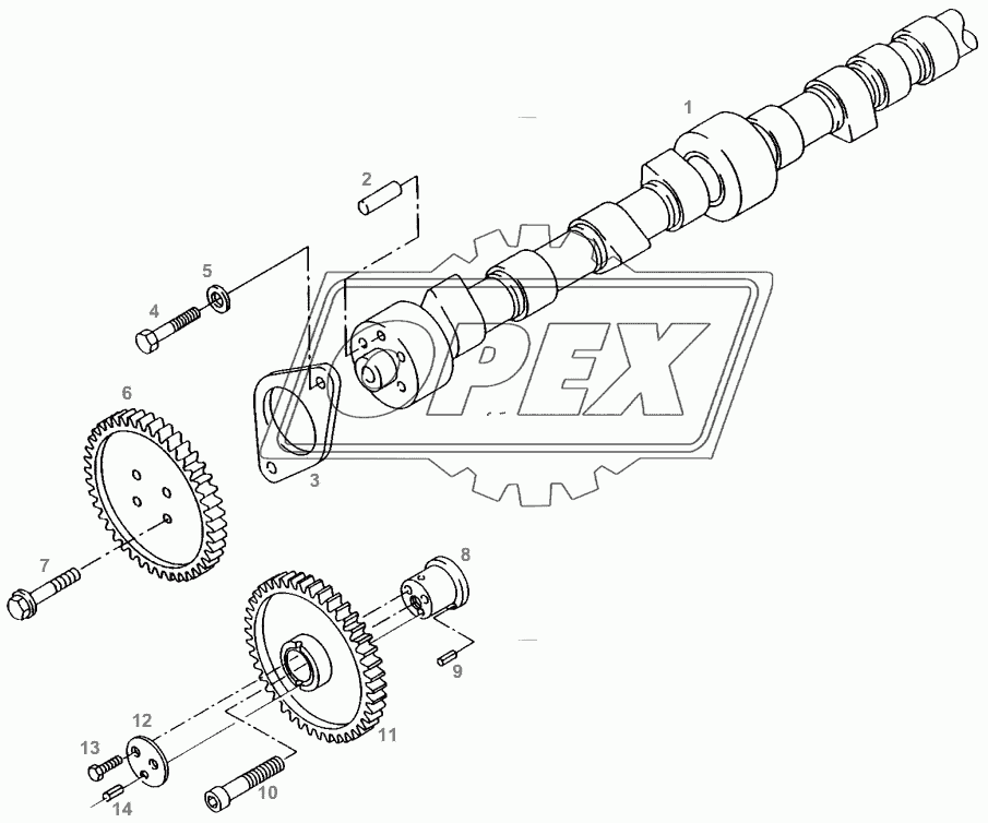 CAM SHAFT