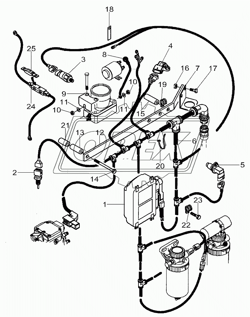 Electronic Engine Management