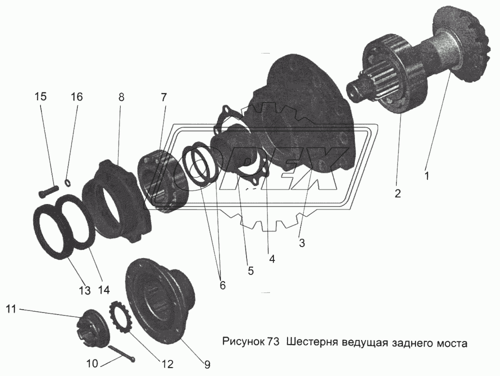 Шестерня ведущая заднего моста 103-2402021