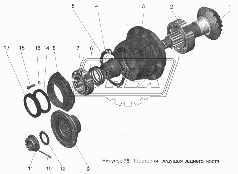 Шестерня ведущая заднего моста 104-2402021