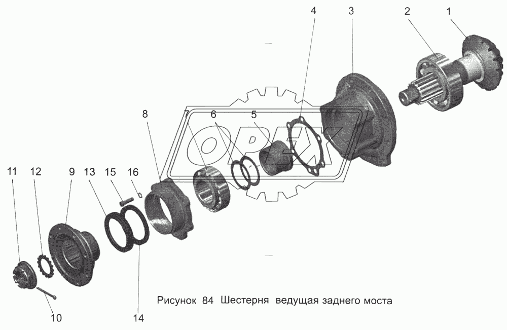 Шестерня ведущая заднего моста 105-2402021