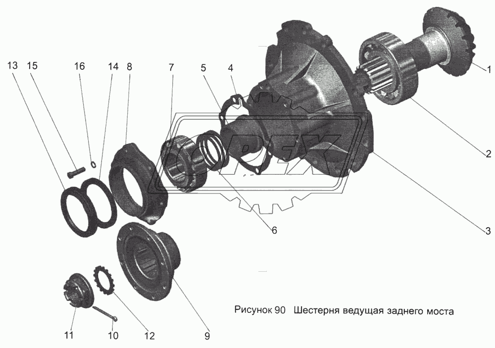 Шестерня ведущая заднего моста 152-2402021