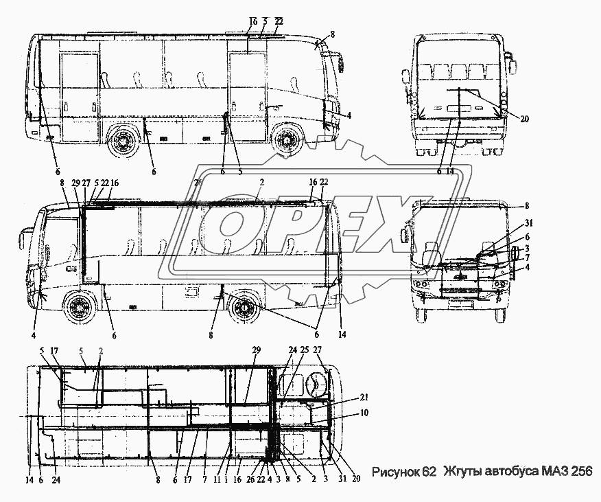 Жгуты автобуса МАЗ 256