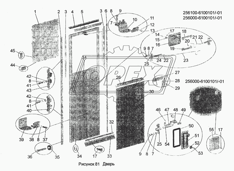 Дверь 256100-6100101/-01, 256000-6100101/-01