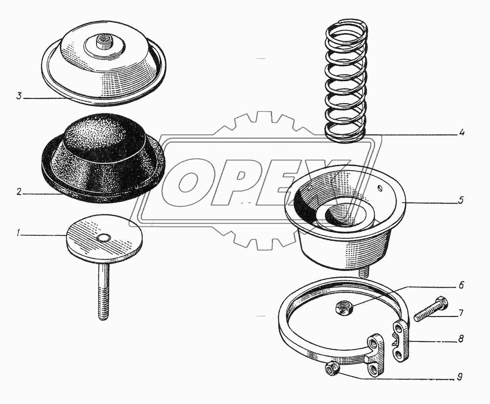 10.0102.700 Камера тормозная
