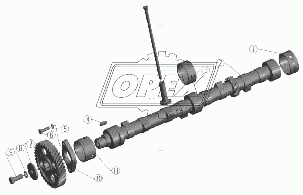 Camshaft Assembly