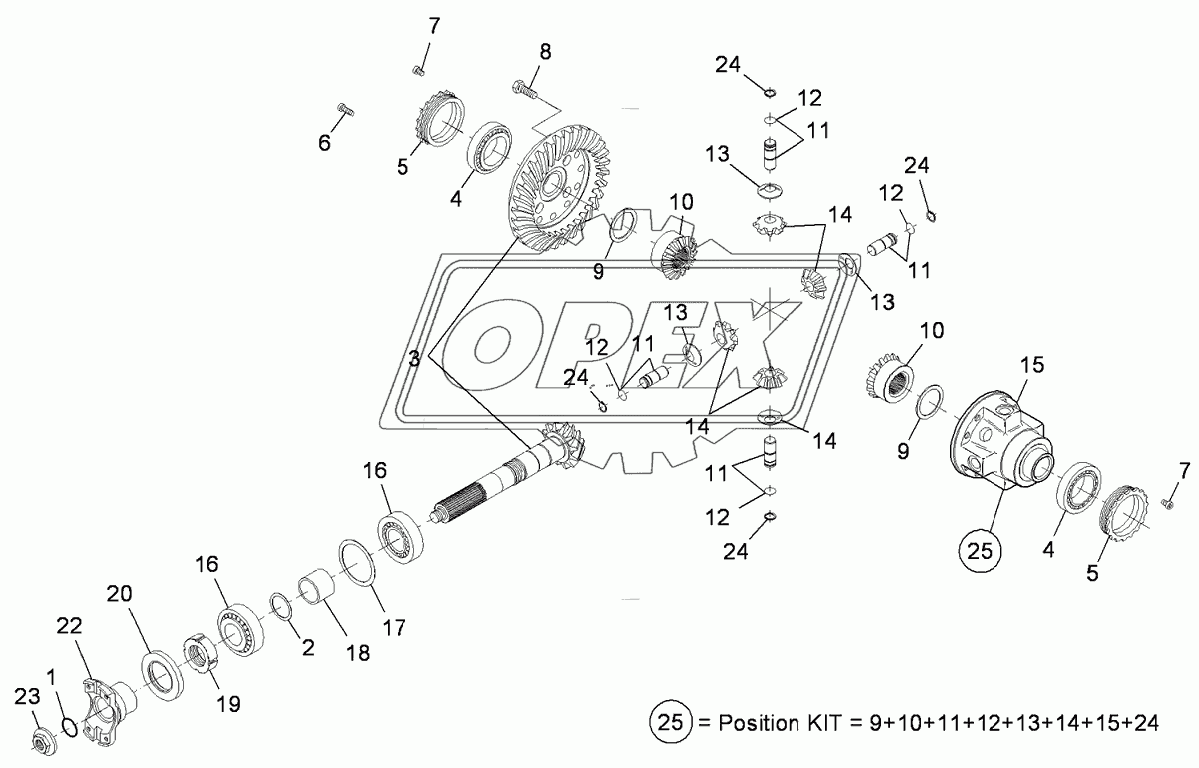 REAR AXLE: DIFFERENTIAL