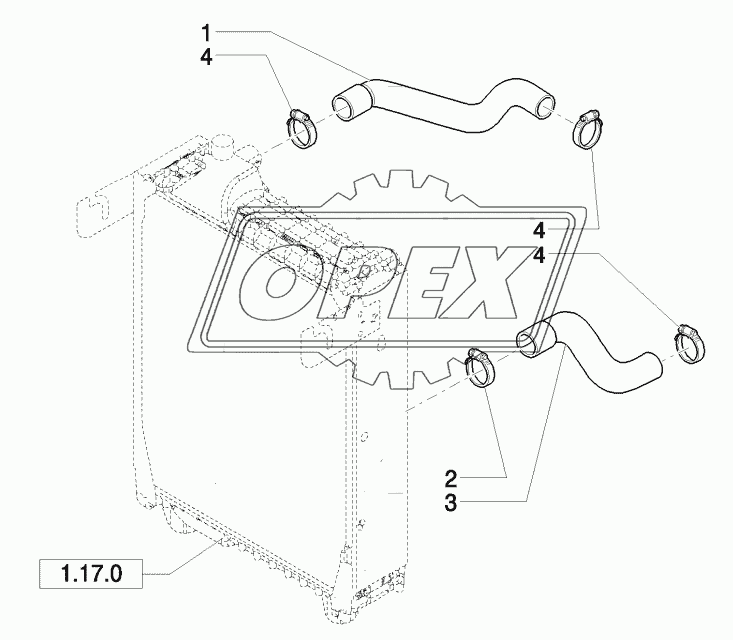 RADIATOR HOSES