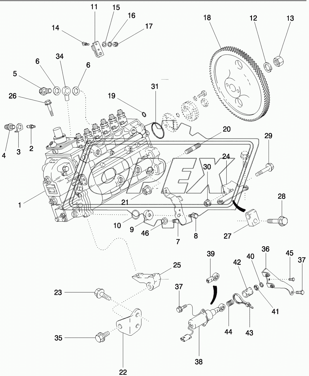 FUEL INJECTION - PUMP AND DRIVE