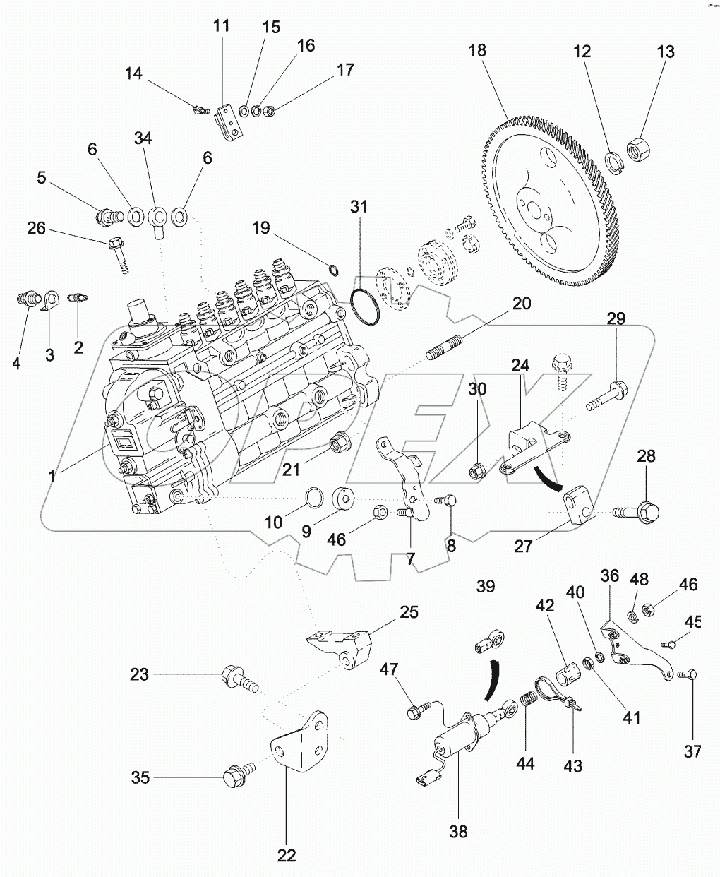 FUEL INJECTION - PUMP AND DRIVE