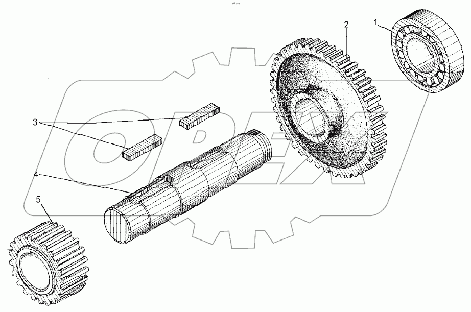  Вал промежуточный (Д395Б.04.040);Intermediate shaft