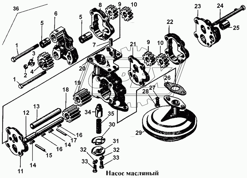 Насос масляный