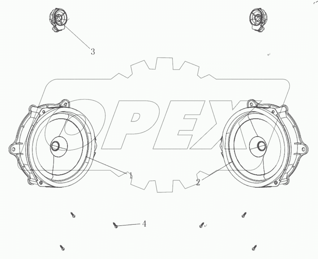  ДИНАМИК В СБОРЕ