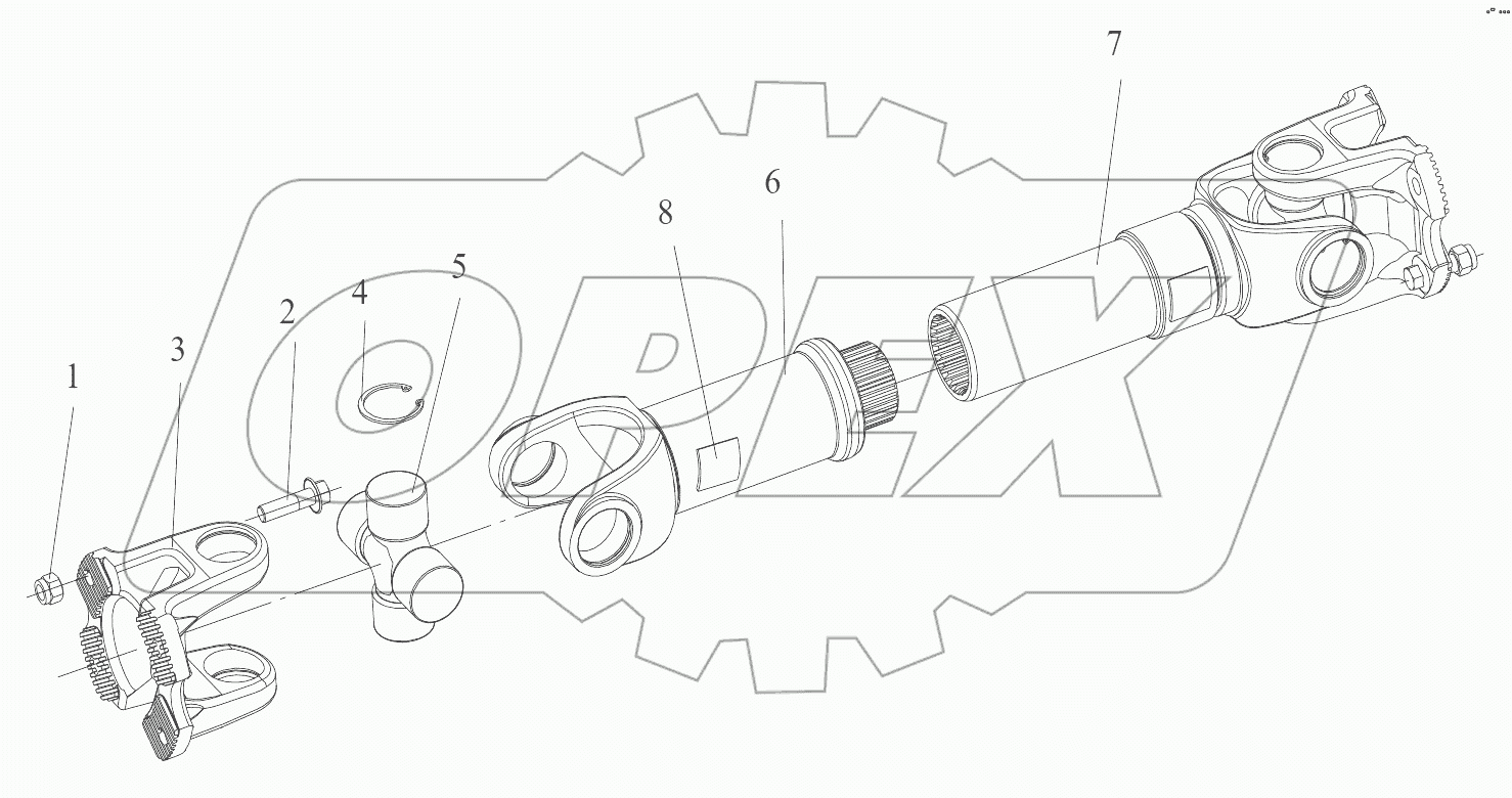  Rear Axle Drive Shaft