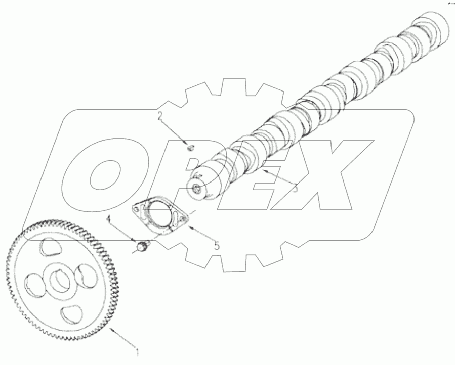 1S42591000201 Engine-camshaft assembly