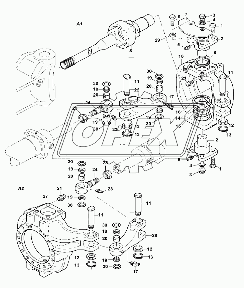 KNUCKLE - FRONT AXLE 1