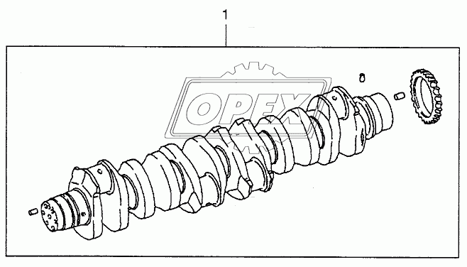 SERVICE CRANKSHAFT