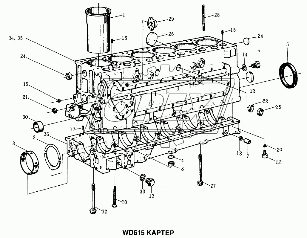 Картер