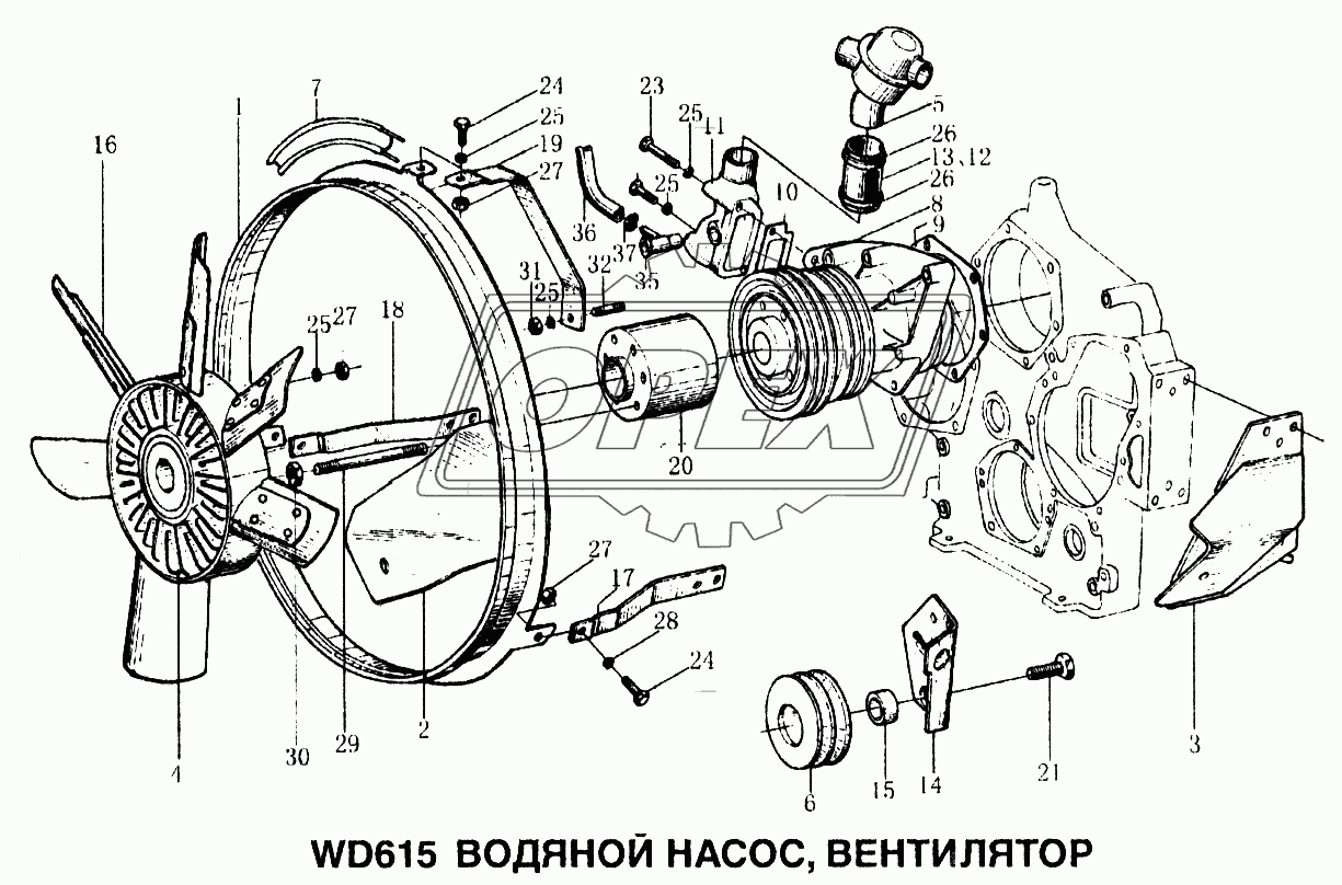 Водяной насос, вентилятор