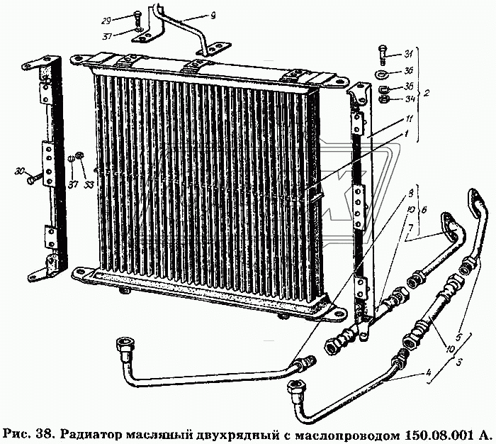 Радиатор масляный двухрядный с маслопроводом 150.08.001 А