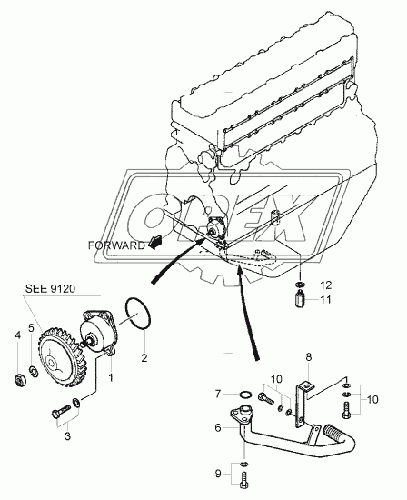 OIL PUMP & OIL STRAINER