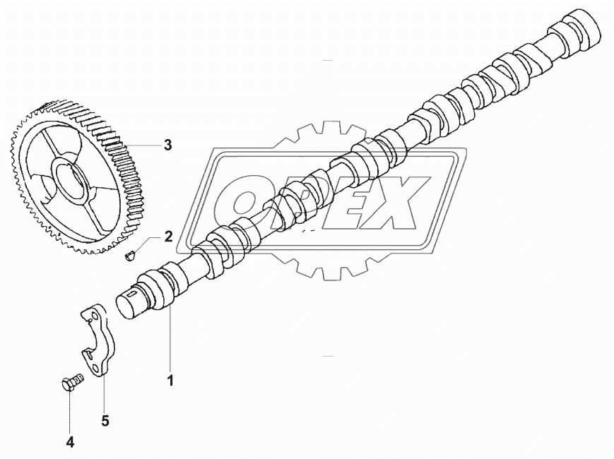 Распределительный вал/Camshaft