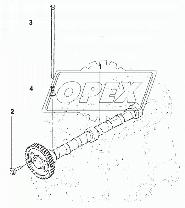 Распределительный вал/Camshaft