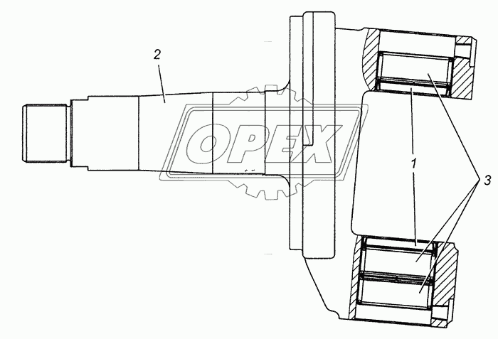 Кулак поворотный в сборе 4308-3001012