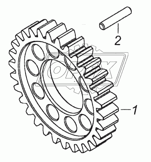 7406.1005031 Шестерня коленчатого вала