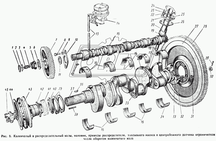 Коленчатый и распределительный валы, маховик, приводы распределителя топливного насоса и центробежного датчика ограничителя числа оборотов коленчатого вала