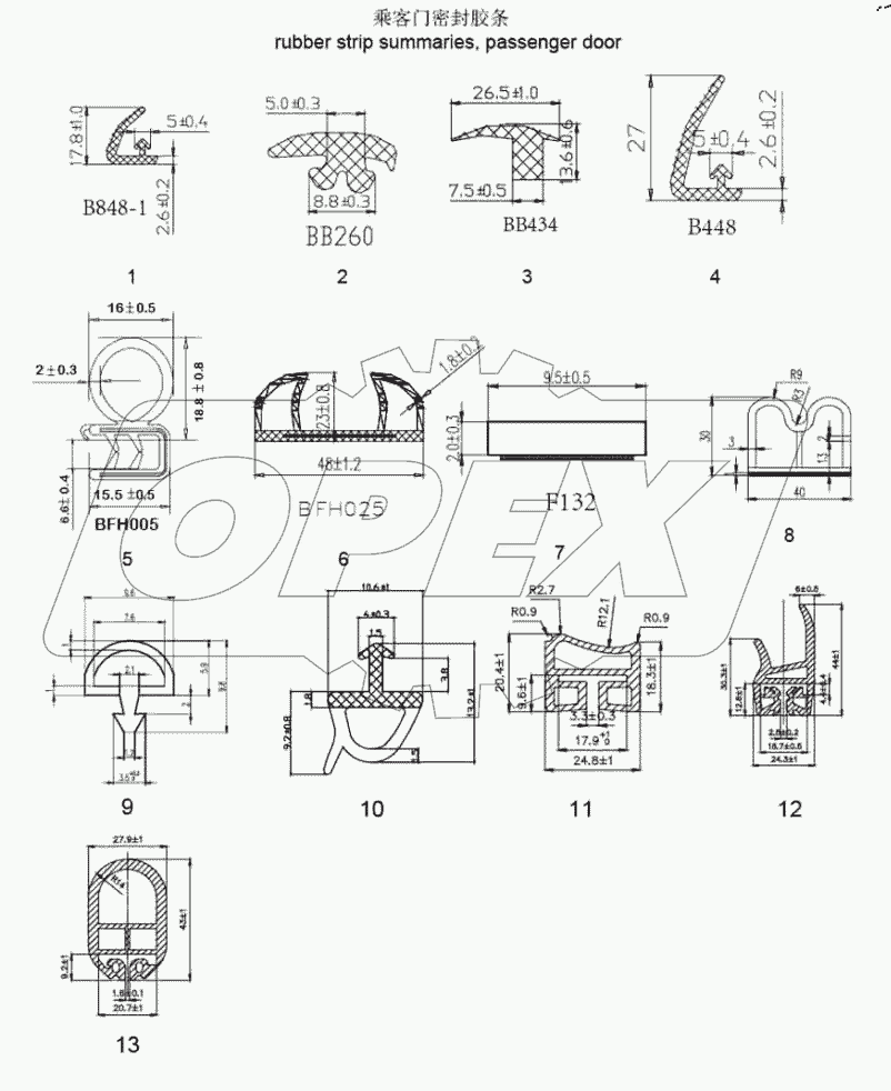  Passenger door strip