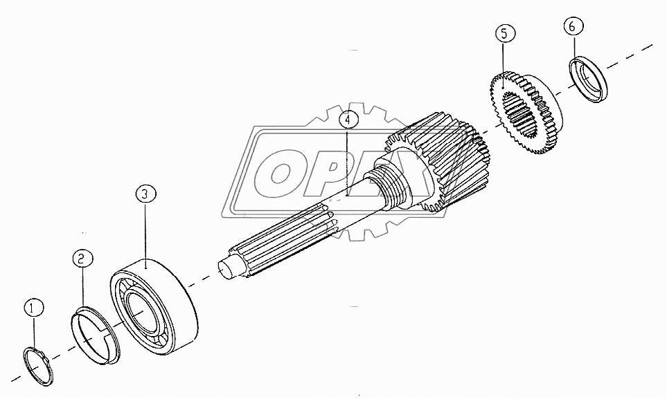 Input shaft