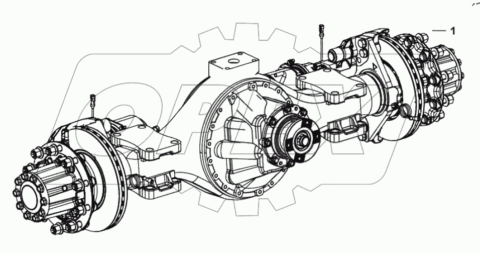  Rear axle assembly 224201947