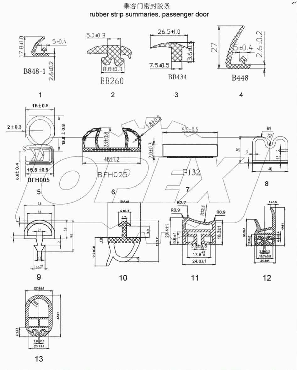  Passenger door strip