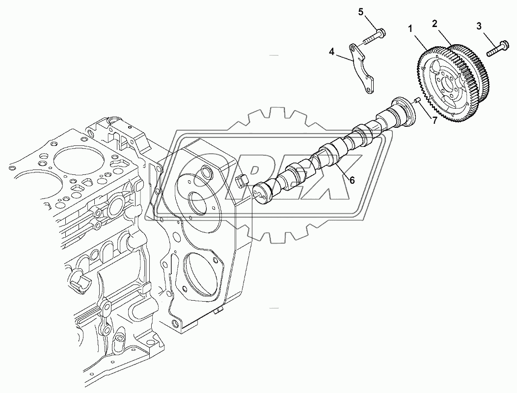 CAMSHAFT AND DRIVING GEAR