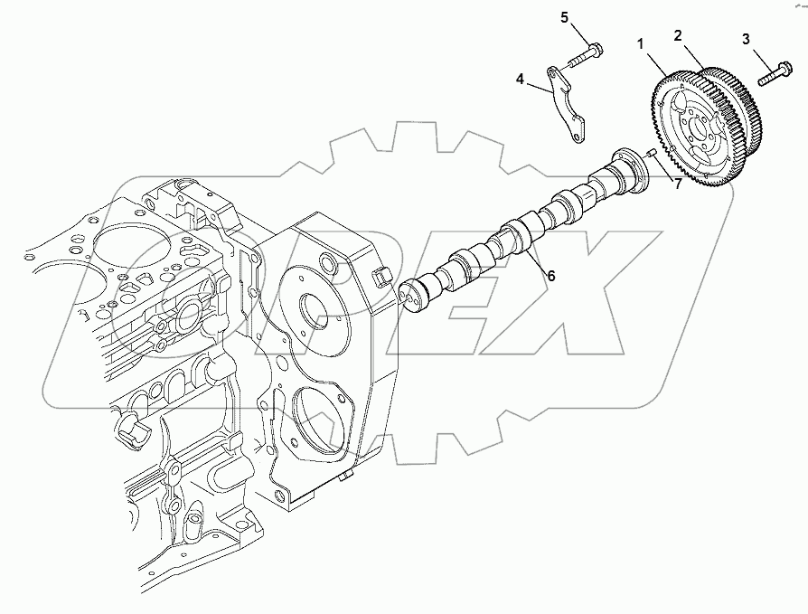 CAMSHAFT AND DRIVING GEAR