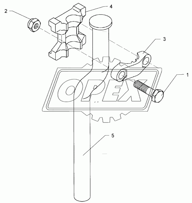 Skim stalk DE-D45 H750-800