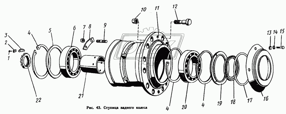 Ступица заднего колеса