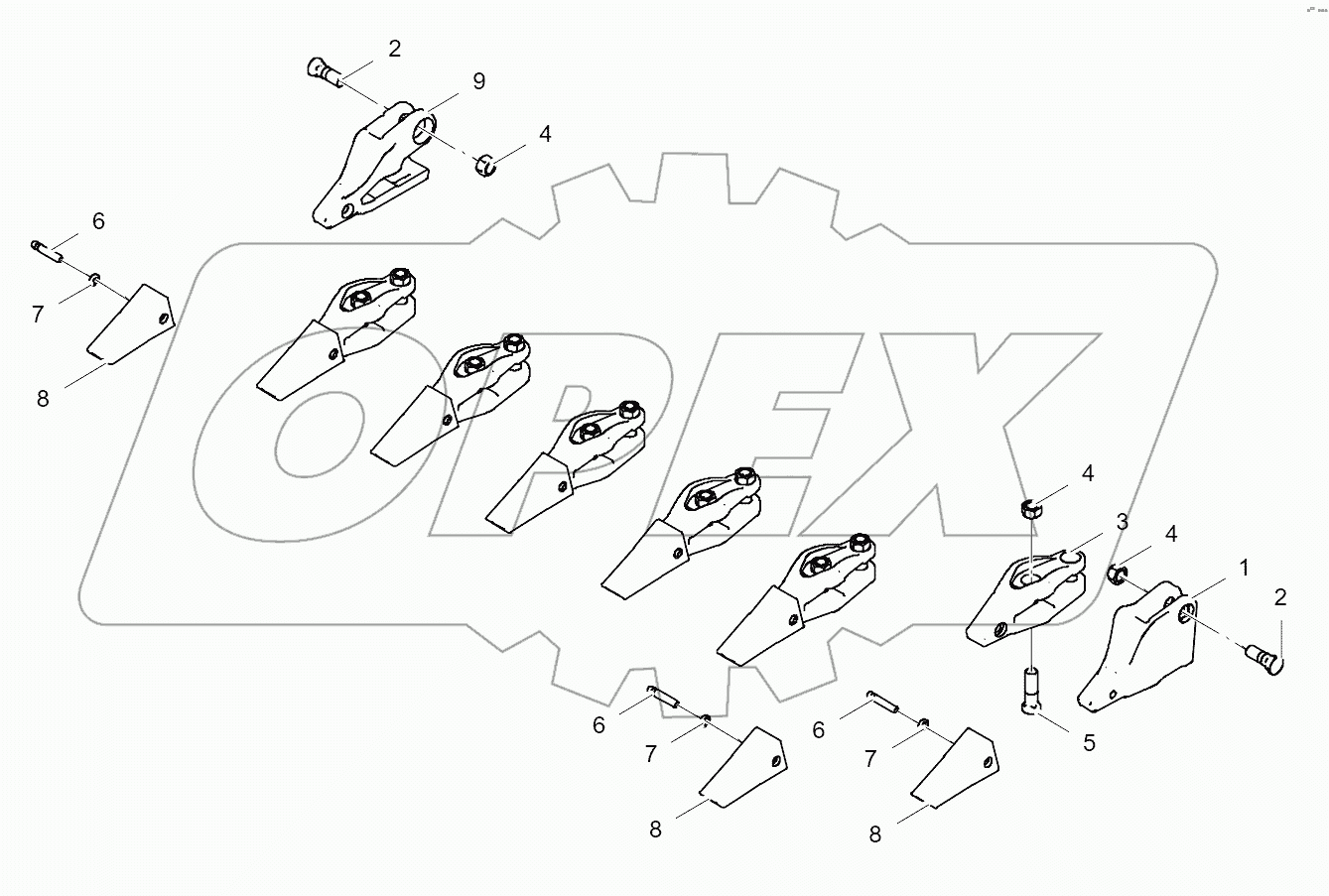 43C0798_001_00 TOOTH GP