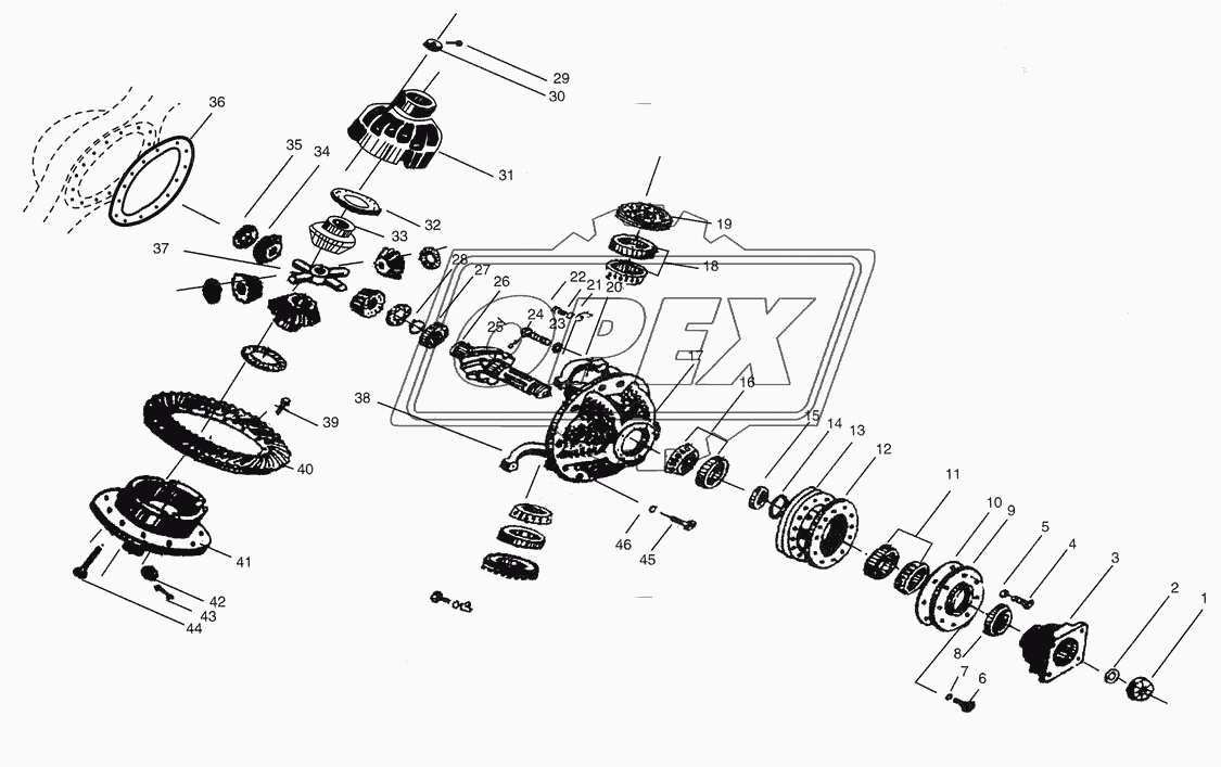 Final Drive and Differential