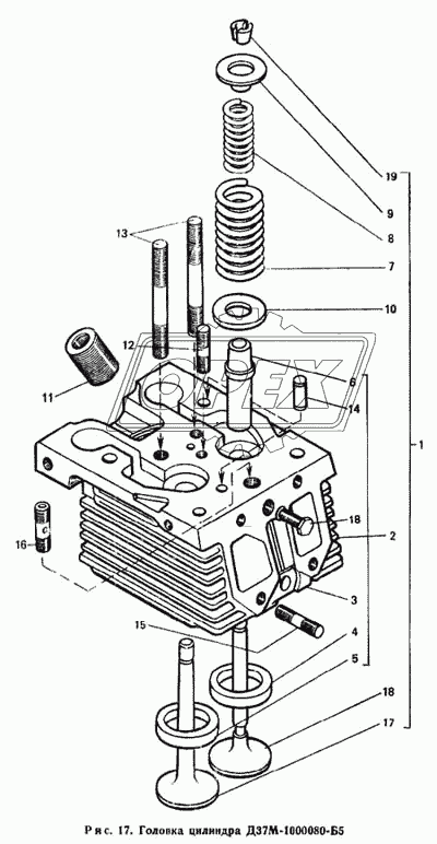 Головка цилиндра Д37М-1000080-Б5