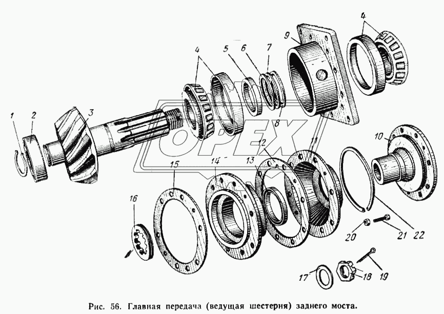 Главная передача (ведущая шестерня) заднего моста