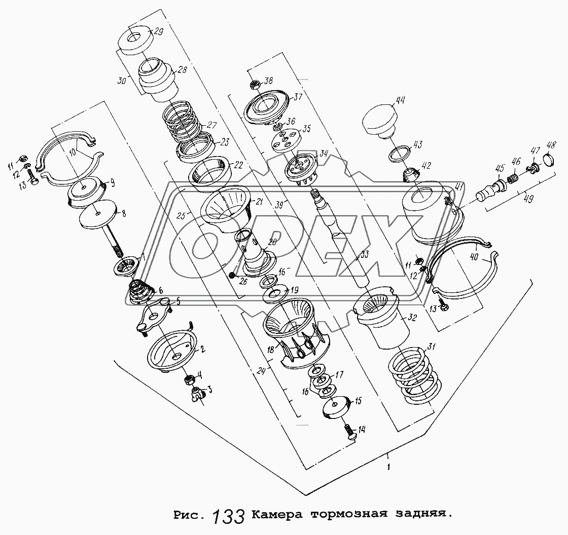 Камера тормозная задняя 1