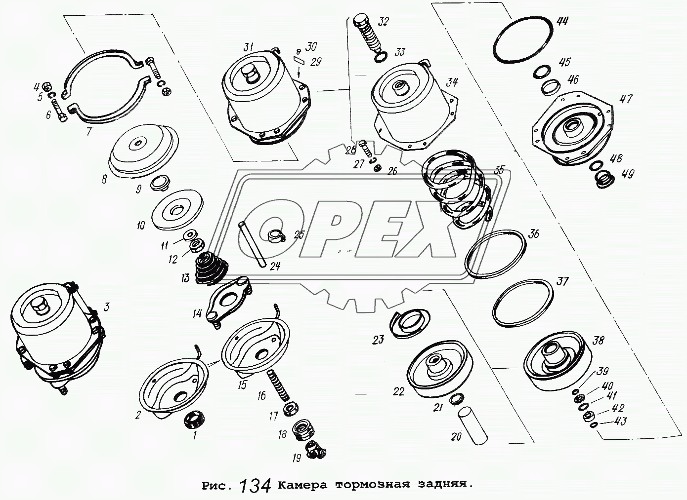 Камера тормозная задняя 2