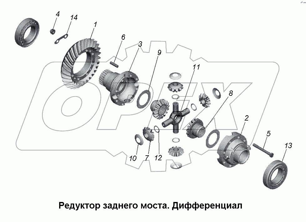 Редуктор заднего моста. Дифференциал
