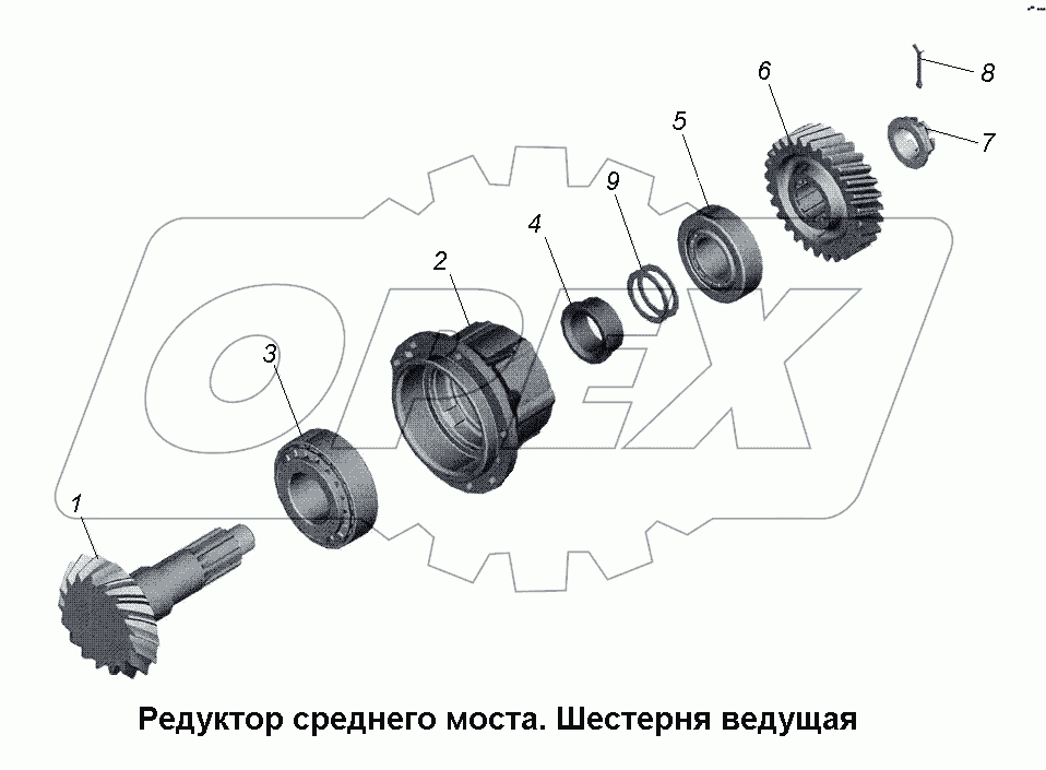 Редуктор среднего моста. Шестерня ведущая