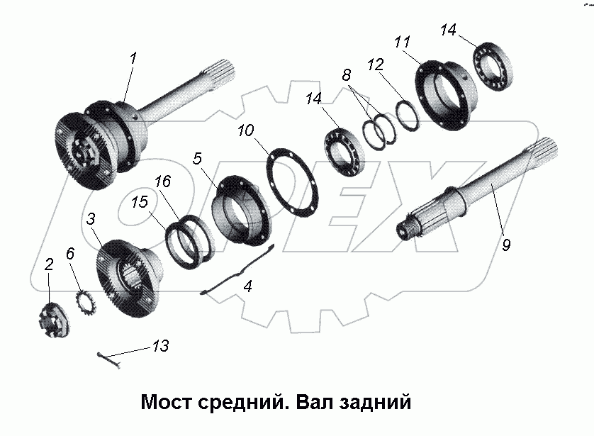 Мост средний. Вал задний