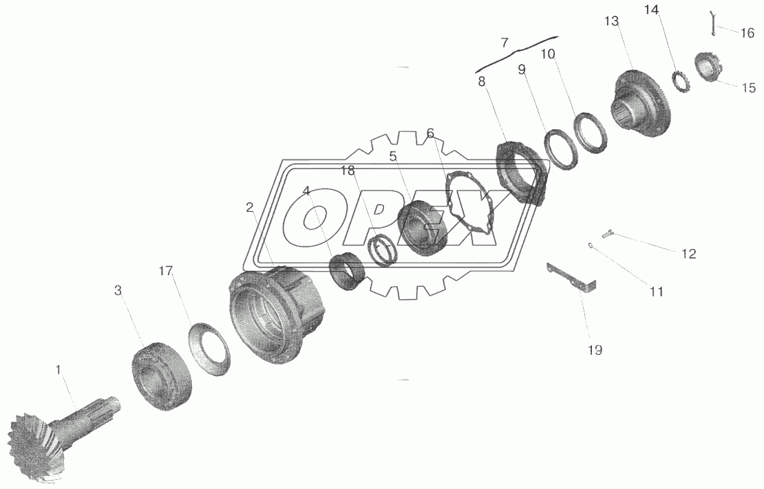 Редуктор заднего моста. Шестерня ведущая