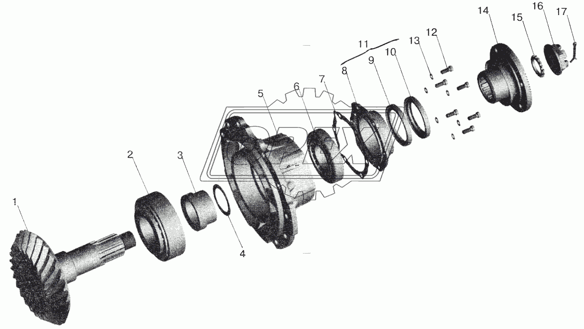 Мост задний МАЗ-543208. Шестерня ведущая